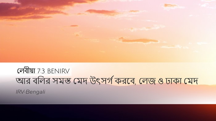 লেবীয়া 7:3 BENIRV Desktop Wallpaper - আর বলির সমস্ত মেদ - Desktop Bible Verse Wallpaper
