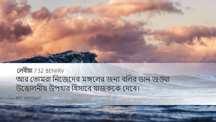 লেবীয়া 7:32 BENIRV Bible Verse Image