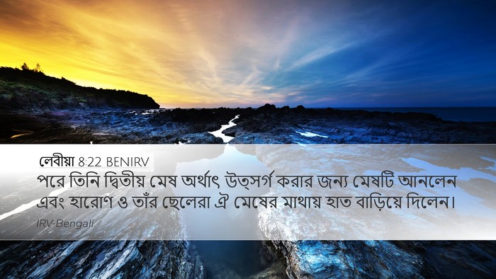 লেবীয়া 8:22 BENIRV Desktop Wallpaper - পরে তিনি দ্বিতীয় - Desktop Bible Verse Wallpaper
