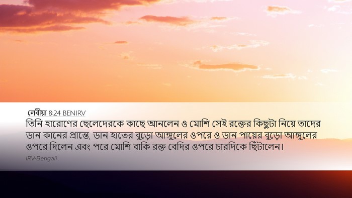 লেবীয়া 8:24 BENIRV Desktop Wallpaper - তিনি হারোণের - Desktop Bible Verse Wallpaper