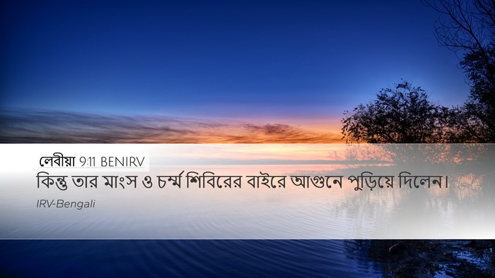 লেবীয়া 9:11 BENIRV Desktop Wallpaper - কিন্তু তার মাংস ও - Desktop Bible Verse Wallpaper