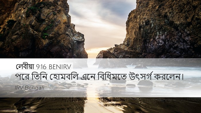 লেবীয়া 9:16 BENIRV Desktop Wallpaper - পরে তিনি হোমবলি - Desktop Bible Verse Wallpaper
