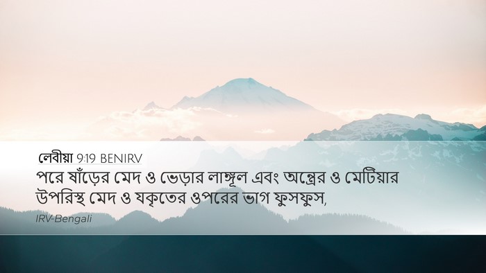লেবীয়া 9:19 BENIRV Bible Verse Image