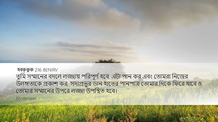 হবক্কুক 2:16 BENIRV Bible Verse Image