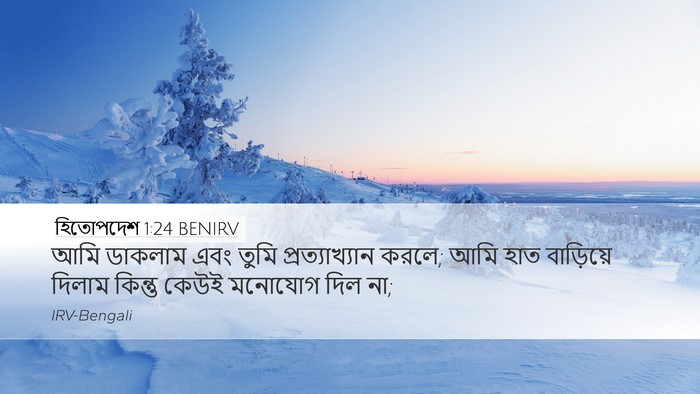 হিতোপদেশ 1:24 BENIRV Bible Verse Image