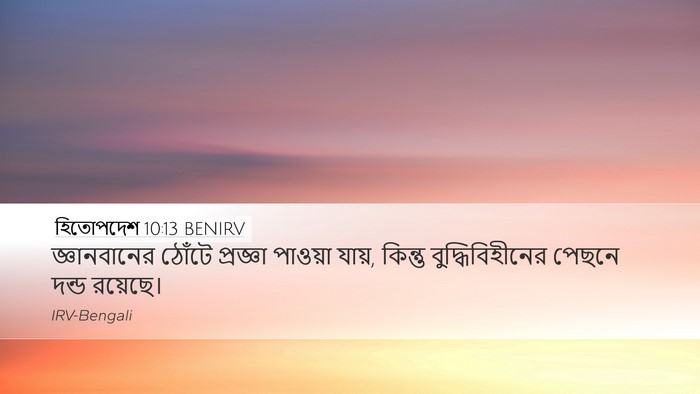 হিতোপদেশ 10:13 BENIRV Bible Verse Image