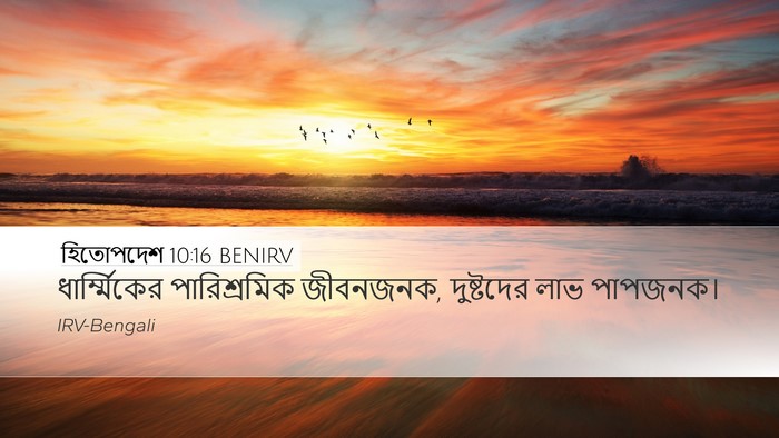 হিতোপদেশ 10:16 BENIRV Desktop Wallpaper - ধার্ম্মিকের - Desktop Bible Verse Wallpaper