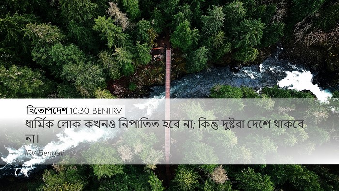 হিতোপদেশ 10:30 BENIRV Bible Verse Image