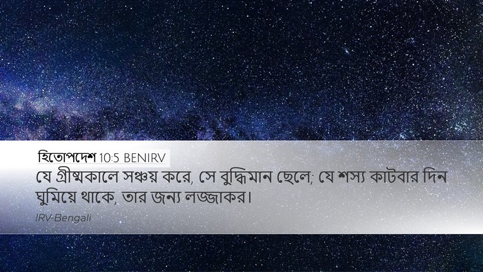 হিতোপদেশ 10:5 BENIRV Bible Verse Image