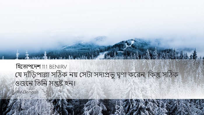 হিতোপদেশ 11:1 BENIRV Bible Verse Image