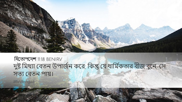 হিতোপদেশ 11:18 BENIRV Bible Verse Image