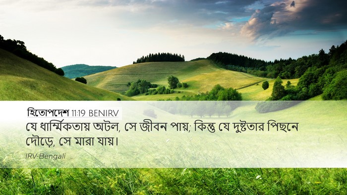 হিতোপদেশ 11:19 BENIRV Bible Verse Image