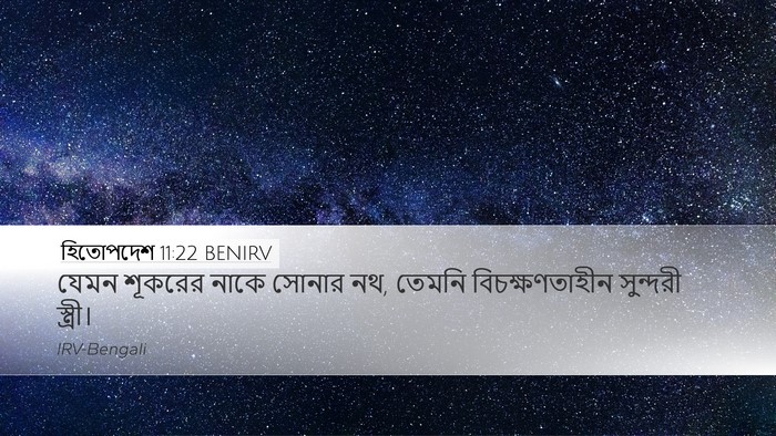 হিতোপদেশ 11:22 BENIRV Bible Verse Image
