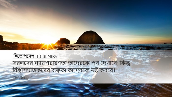 হিতোপদেশ 11:3 BENIRV Bible Verse Image