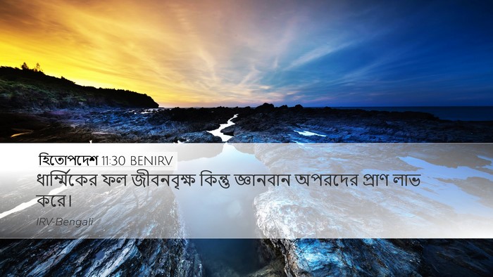 হিতোপদেশ 11:30 BENIRV Bible Verse Image