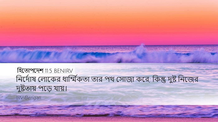 হিতোপদেশ 11:5 BENIRV Bible Verse Image