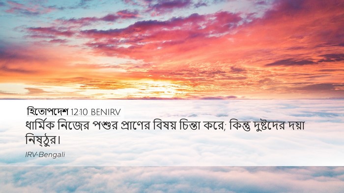 হিতোপদেশ 12:10 BENIRV Bible Verse Image
