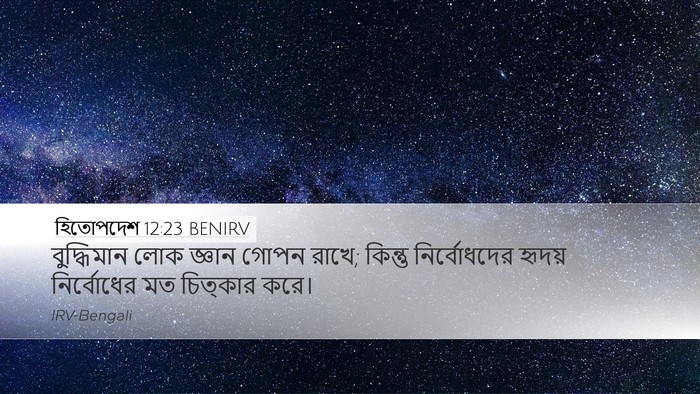হিতোপদেশ 12:23 BENIRV Bible Verse Image