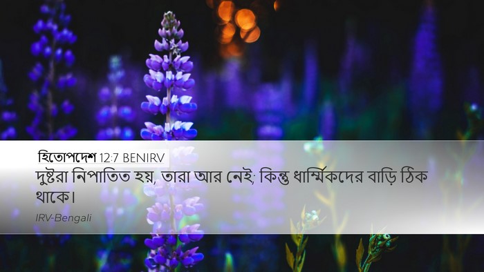 হিতোপদেশ 12:7 BENIRV Bible Verse Image