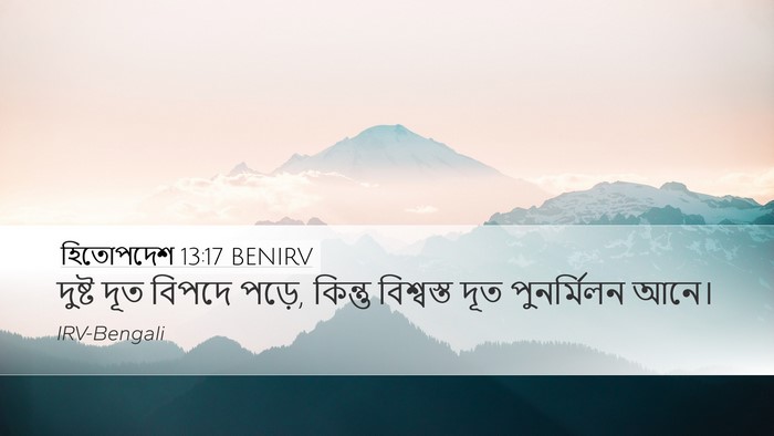 হিতোপদেশ 13:17 BENIRV Bible Verse Image