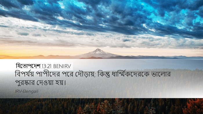 হিতোপদেশ 13:21 BENIRV Bible Verse Image