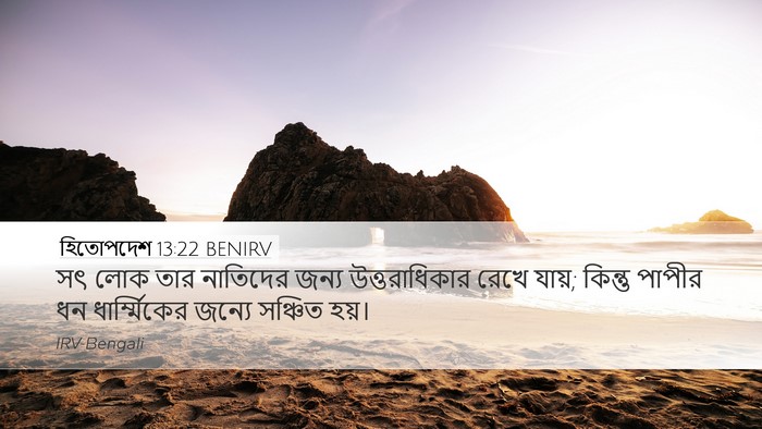 হিতোপদেশ 13:22 BENIRV Bible Verse Image