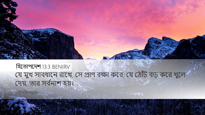 হিতোপদেশ 13:3 BENIRV Bible Verse Image