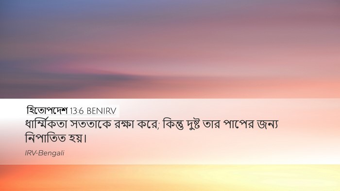 হিতোপদেশ 13:6 BENIRV Bible Verse Image