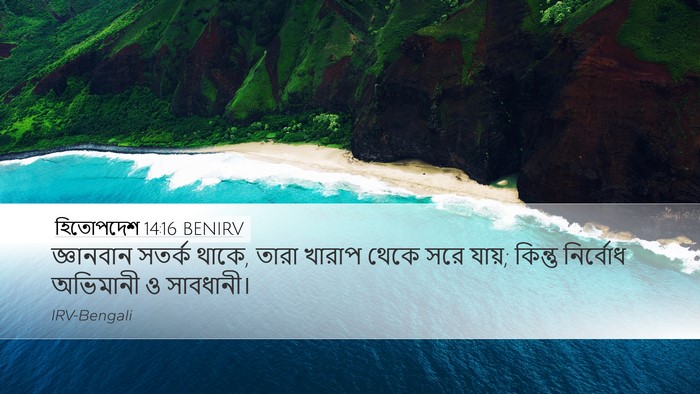 হিতোপদেশ 14:16 BENIRV Bible Verse Image