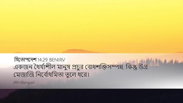 হিতোপদেশ 14:29 BENIRV Bible Verse Image