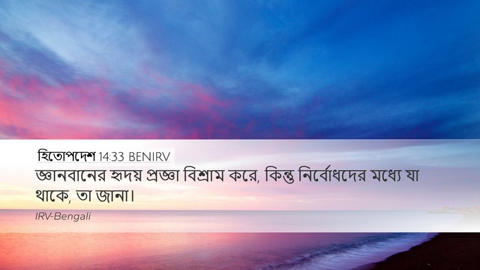 হিতোপদেশ 14:33 BENIRV Bible Verse Image