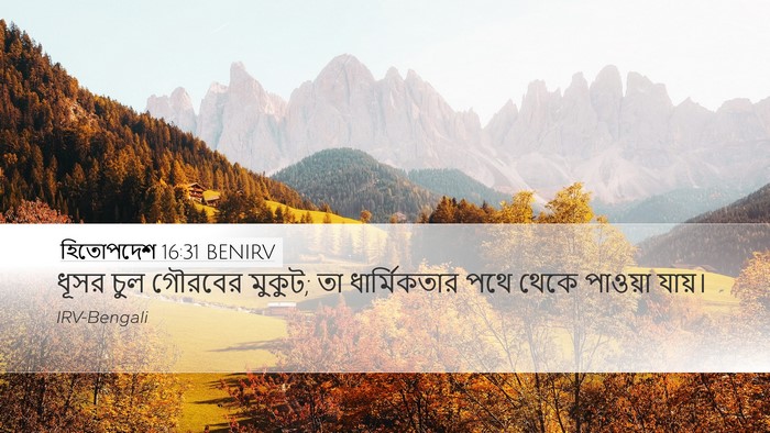 হিতোপদেশ 16:31 BENIRV Bible Verse Image