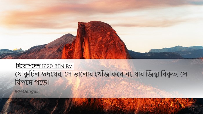 হিতোপদেশ 17:20 BENIRV Bible Verse Image