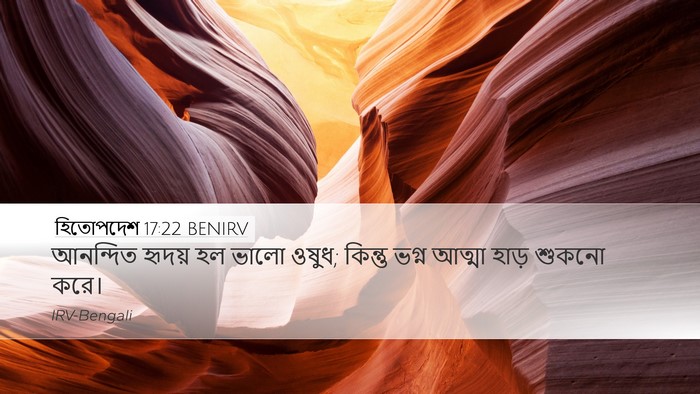 হিতোপদেশ 17:22 BENIRV Bible Verse Image