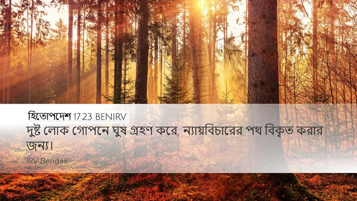 হিতোপদেশ 17:23 BENIRV Bible Verse Image