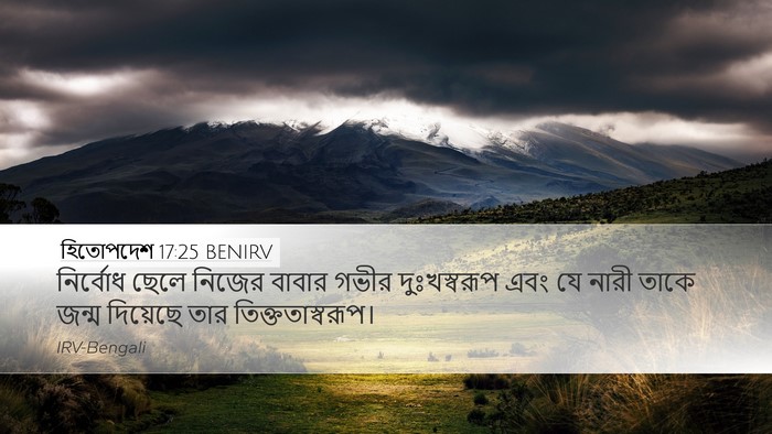 হিতোপদেশ 17:25 BENIRV Bible Verse Image