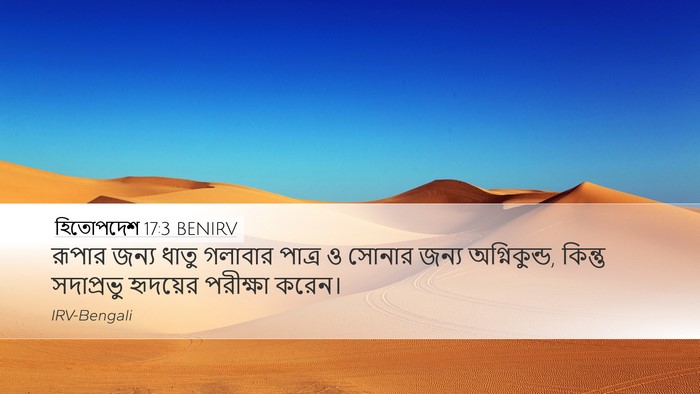 হিতোপদেশ 17:3 BENIRV Bible Verse Image