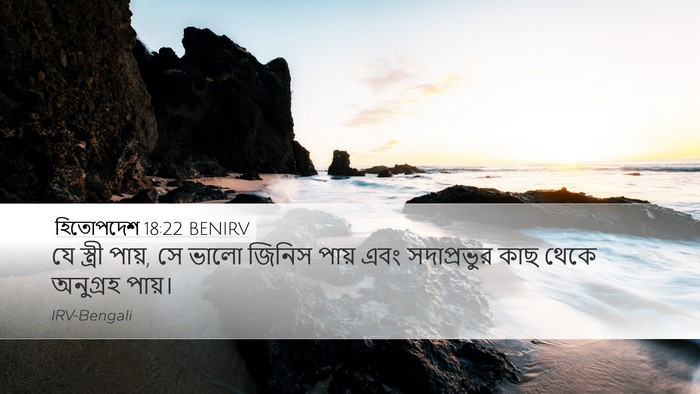হিতোপদেশ 18:22 BENIRV Bible Verse Image