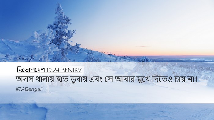 হিতোপদেশ 19:24 BENIRV Desktop Wallpaper - অলস থালায় হাত - Desktop Bible Verse Wallpaper