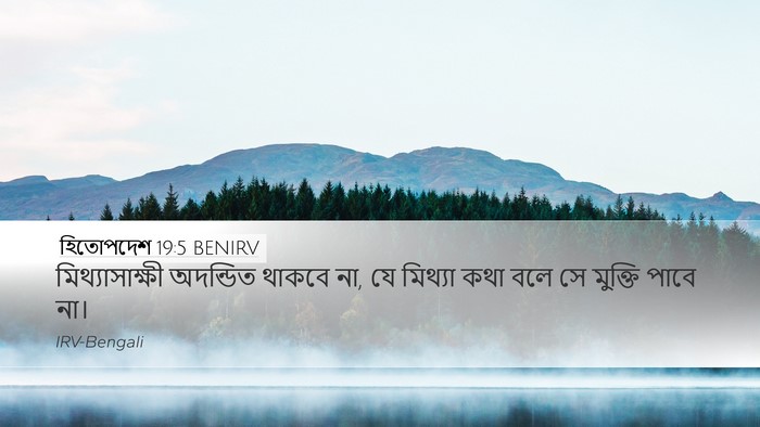 হিতোপদেশ 19:5 BENIRV Bible Verse Image
