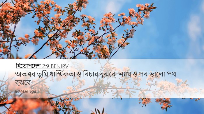 হিতোপদেশ 2:9 BENIRV Desktop Wallpaper - অতএব তুমি - Desktop Bible Verse Wallpaper