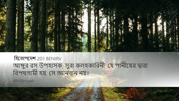 হিতোপদেশ 20:1 BENIRV Bible Verse Image