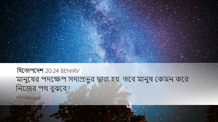 হিতোপদেশ 20:24 BENIRV Bible Verse Image