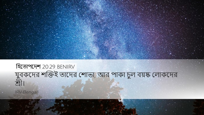 হিতোপদেশ 20:29 BENIRV Bible Verse Image