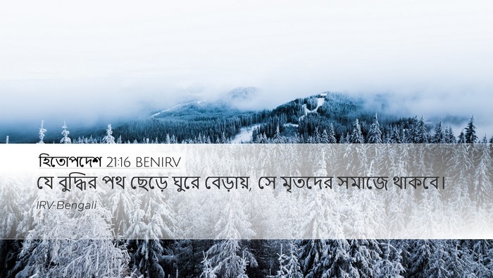 হিতোপদেশ 21:16 BENIRV Bible Verse Image