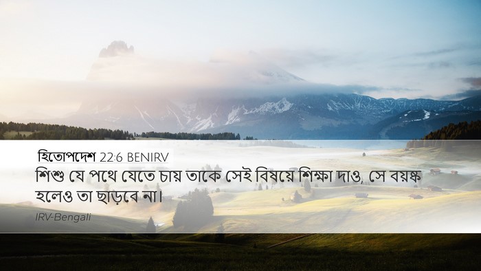 হিতোপদেশ 22:6 BENIRV Bible Verse Image
