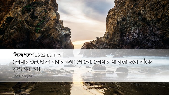 হিতোপদেশ 23:22 BENIRV Bible Verse Image