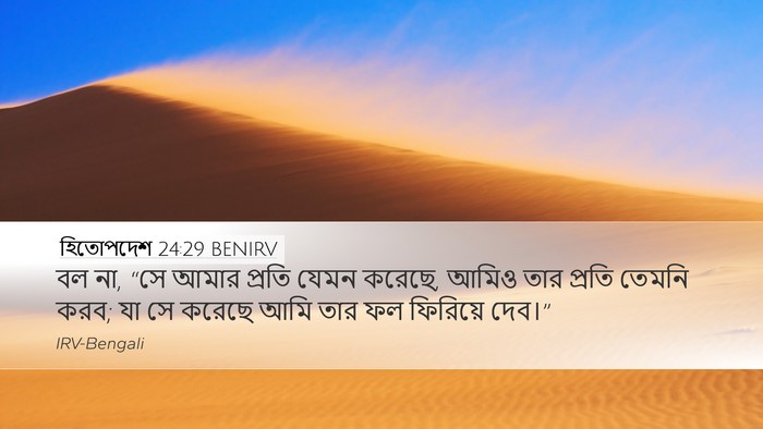 হিতোপদেশ 24:29 BENIRV Bible Verse Image
