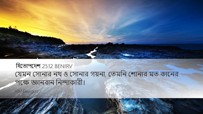 হিতোপদেশ 25:12 BENIRV Bible Verse Image