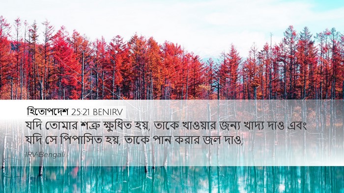 হিতোপদেশ 25:21 BENIRV Bible Verse Image